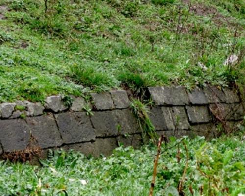 Imagen del monumento Fuerte San Carlos de Purén