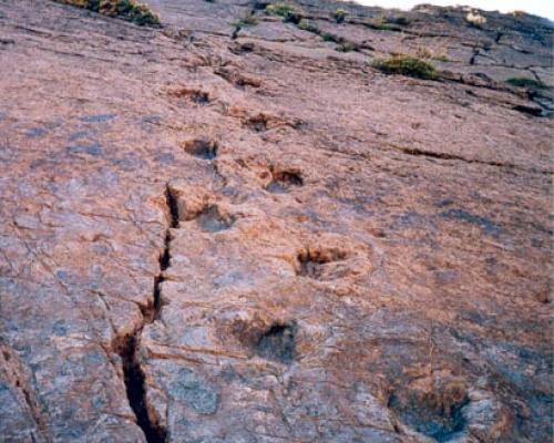Imagen del monumento Sitio donde se conservan huellas de animales extinguidos en el lugar denominado &quot;Termas del Flaco&quot;