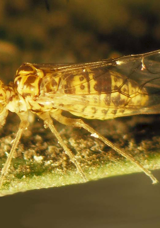 imagen imagen_portada.jpg