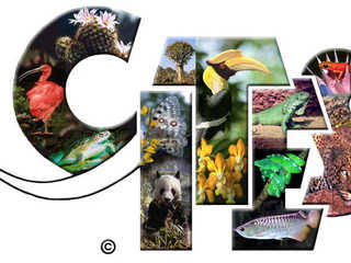 imagen imagen_portada.jpg