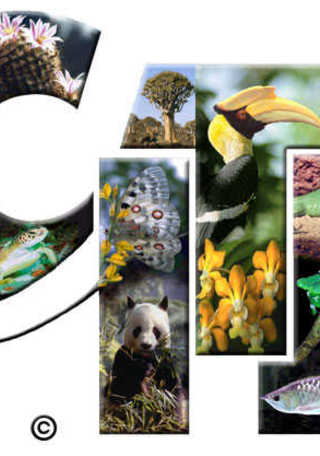 imagen imagen_portada.jpg