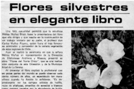 Flores silvestres en elegante libro.