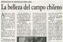 La belleza del campo chileno [entrevistas]