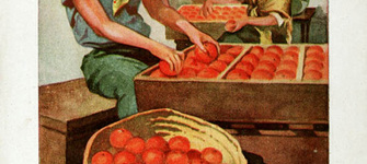 Volante publicitario