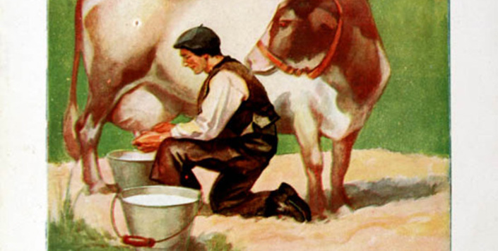 Volante publicitario