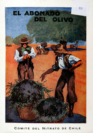 Volante publicitario