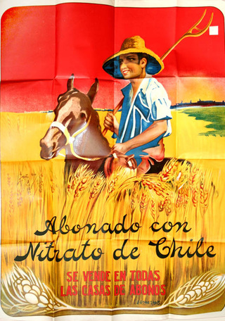 Volante publicitario