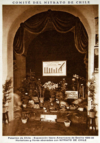 Pabelln de Chile