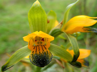 imagen imagen_portada.jpg