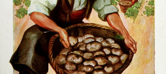 Volante publicitario