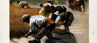 Volante publicitario