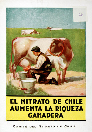 Volante publicitario