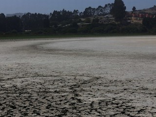 El Valor de Conservar la Biodiversidad del Santuario de la Naturaleza Laguna El Peral