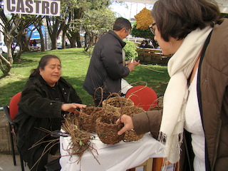 imagen imagen_portada.jpg