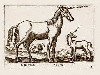 Alicorno 2