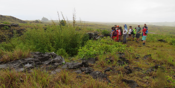 imagen imagen_21.jpg