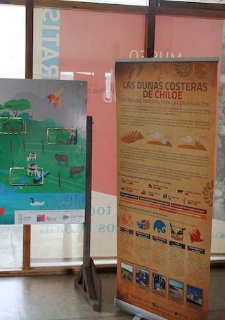 Fotografa: Exposicin Chilo ecosistmico