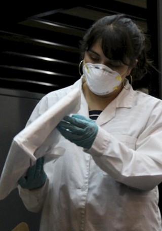 Las plantas que curan y las plantas que matan