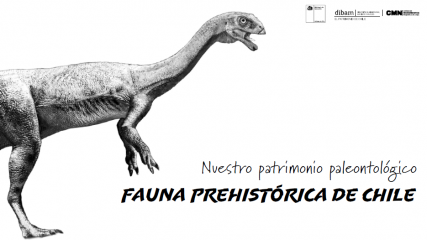 Nuestro Patrimonio Paleontológico - Fauna Prehistórica de Chile Imagen de Nuestro Patrimonio Paleontológico - Fauna Prehistórica de Chile