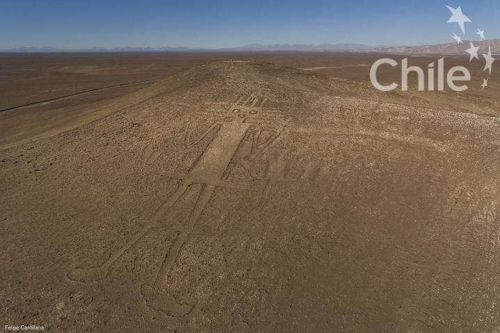 Imagen del monumento Gigante de Atacama
