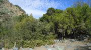 Imagen del monumento Quebrada Llau Llau