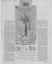 Chile y la piedra.