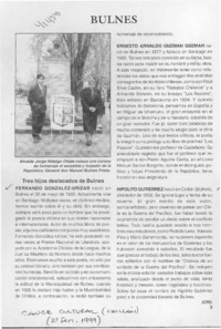 Bulnes  [artículo] CRI