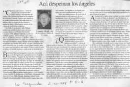 Acá despeinan los ángeles  [artículo] Joaquín Alliende Luco.