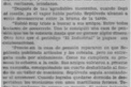 El ingenio entre escritores