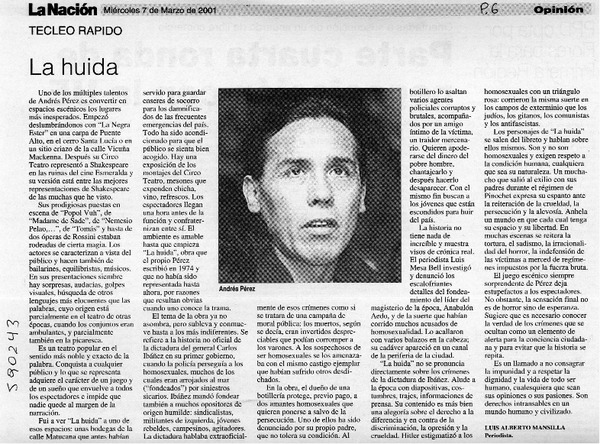 La huida  [artículo] Luis Alberto Mansilla