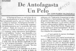 De Antofagasta un pelo