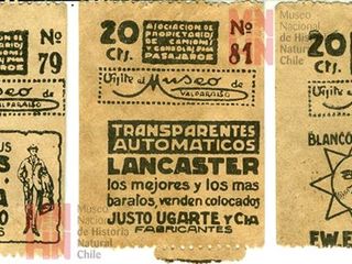 Boletos de micro encontrados