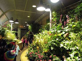 Vista del Butterfly Pavillion