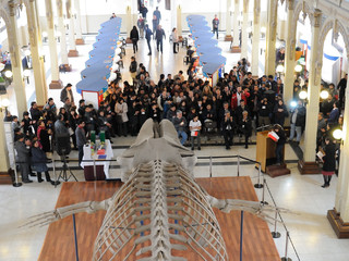 imagen imagen_portada.jpg