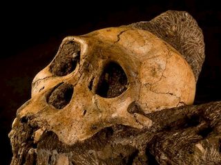 imagen imagen_portada.jpg