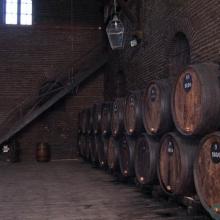 Imagen del monumento Las Bodegas de la viña Santa Carolina