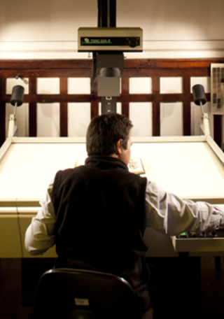 Proceso de reproduccin.