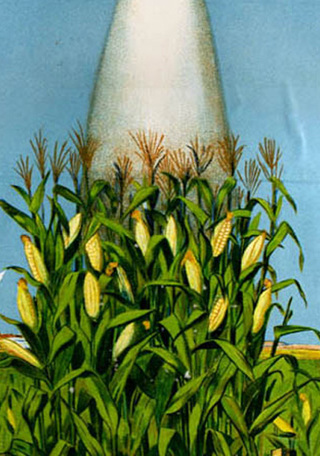 Iconografa del salitre en Egipto