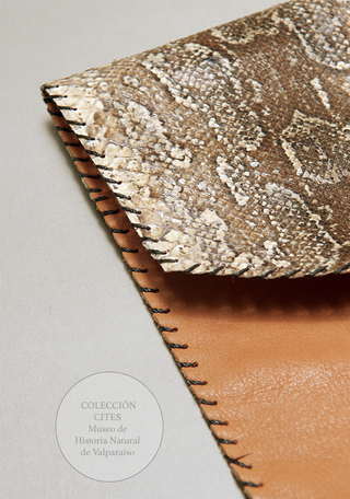 Billetera de escamas de serpiente