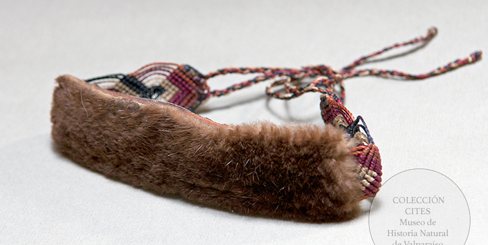 Pulsera de piel de caimn