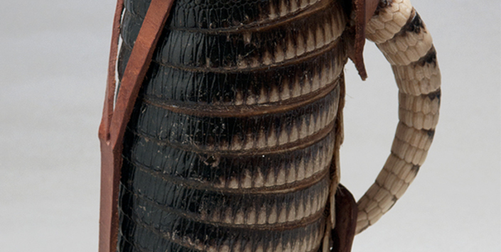 Termo de piel de quirquincho (reverso)