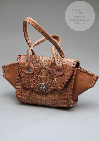 Cartera de piel de caimn