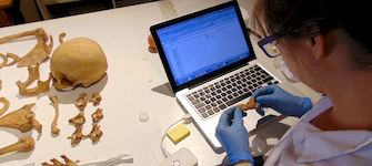 Trabajo con la coleccin del Museo Regional de Atacama.