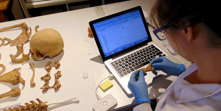 Trabajo con la coleccin del Museo Regional de Atacama.