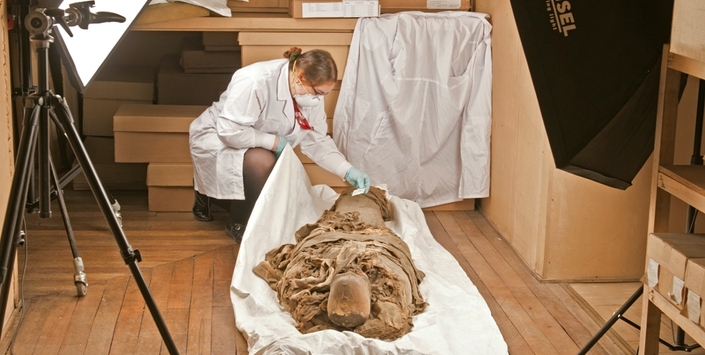 La curadora del MNHN Vernica Silva, en el proceso de toma de imgenes a las momias (imagen: Manuel Alarcn).