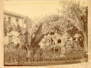 Casa Quinta de Vicu�a Mackenna