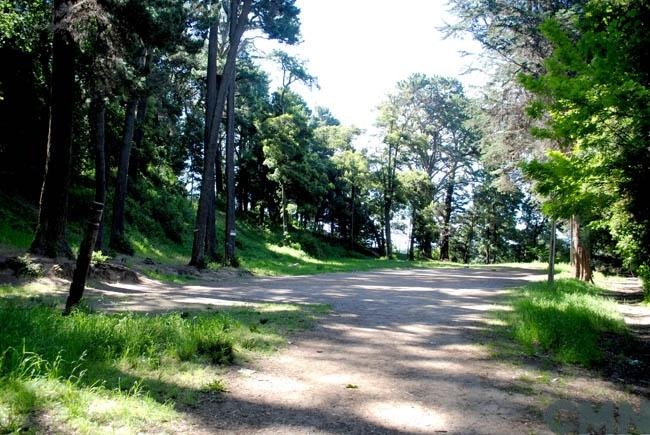 Imagen del monumento Cerro Colo Colo