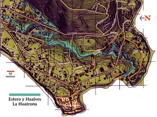 Plano de Niebla 2003
