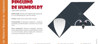 Marcador de pgina el pingino