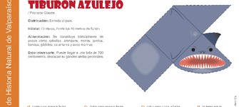 Marcador de pgina el tiburn